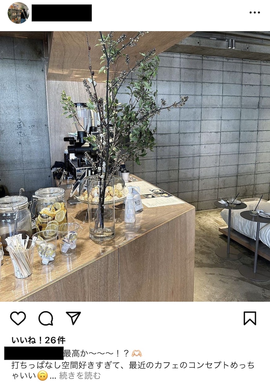 インスタグラム日本人フォロワー100人増やします 【30日間保証】Instagram日本人フォロワー【格安】 イメージ4