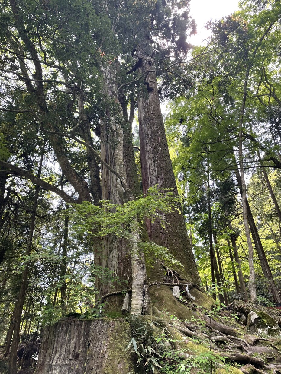 あなたの心の倉庫になります 秘密厳守！あなたのどこにも向けられない気持ち受け止めます！ イメージ2