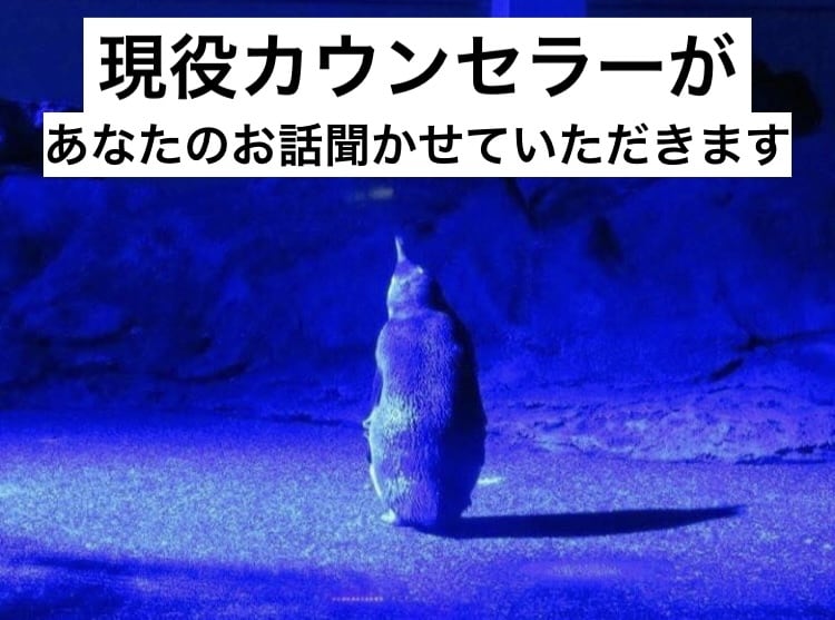 現役カウンセラーが秘密厳守でお話聞きます 愚痴、悩みを聞いて！肯定して！お酒を飲みながら！なんでもOK イメージ1