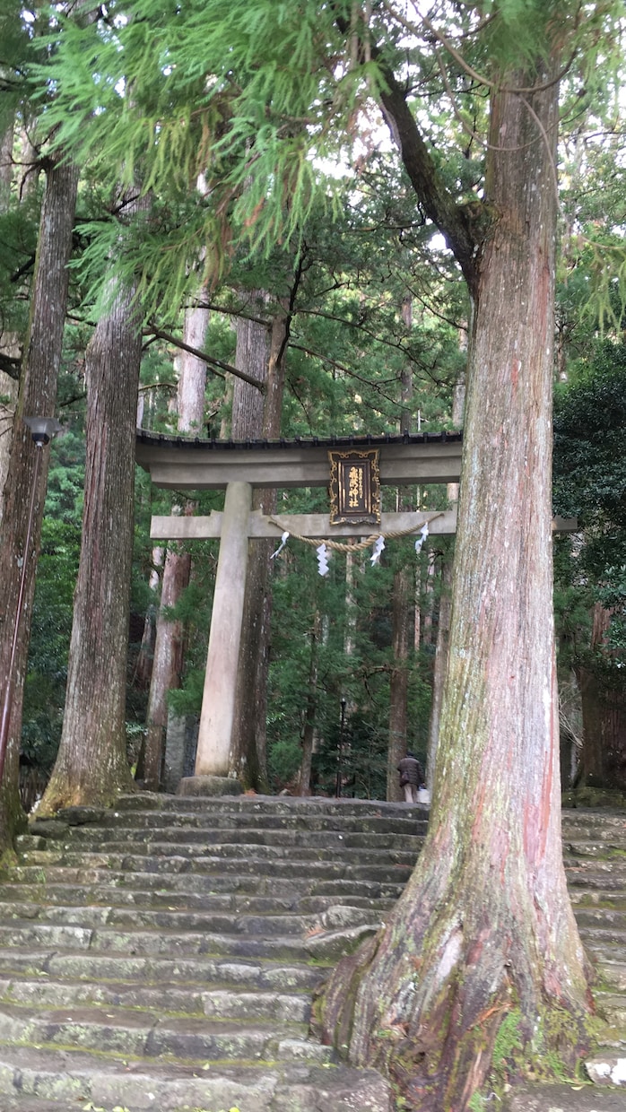 おみくじ鑑定いたします 大吉は良い？凶は悪い？いえ、そうではありません♪ イメージ1