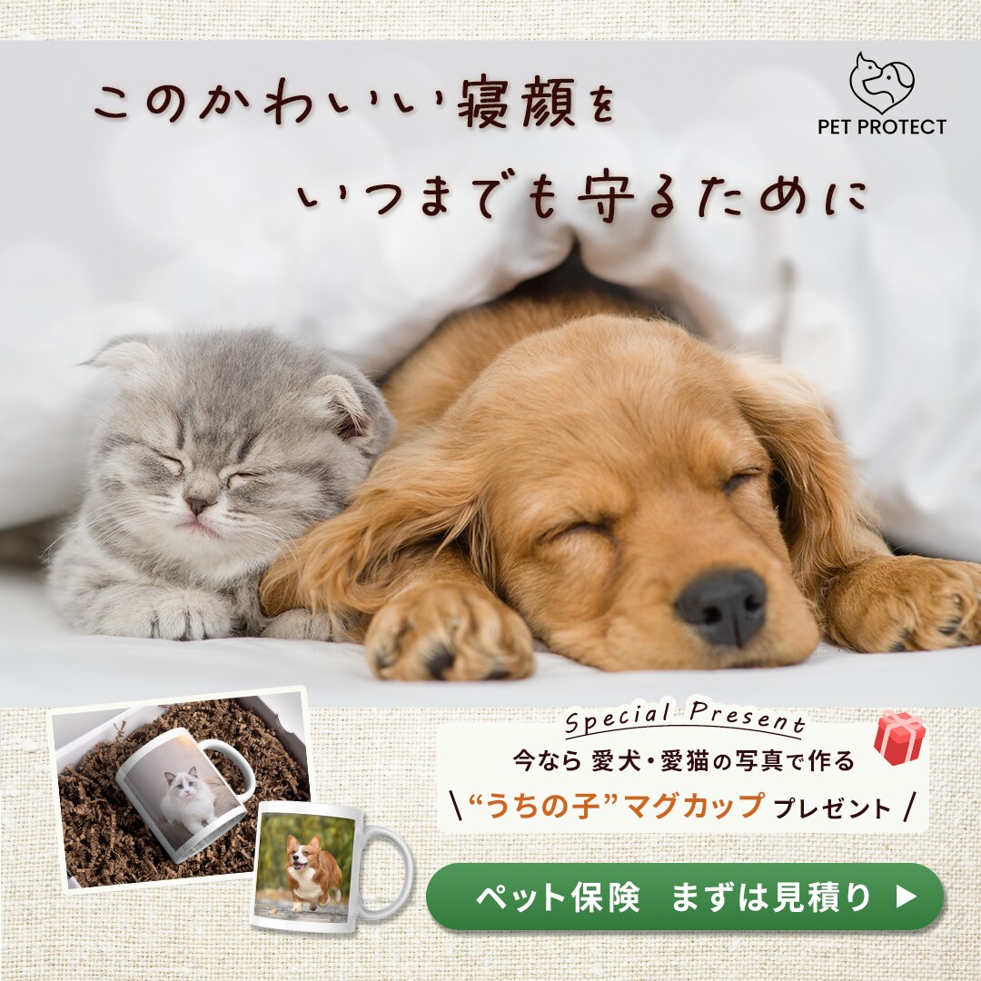 共感を“設計”して反応につなげる広告バナー作ります 誰に向けた広告か曖昧な状態を整理し、伝わる形にします イメージ4