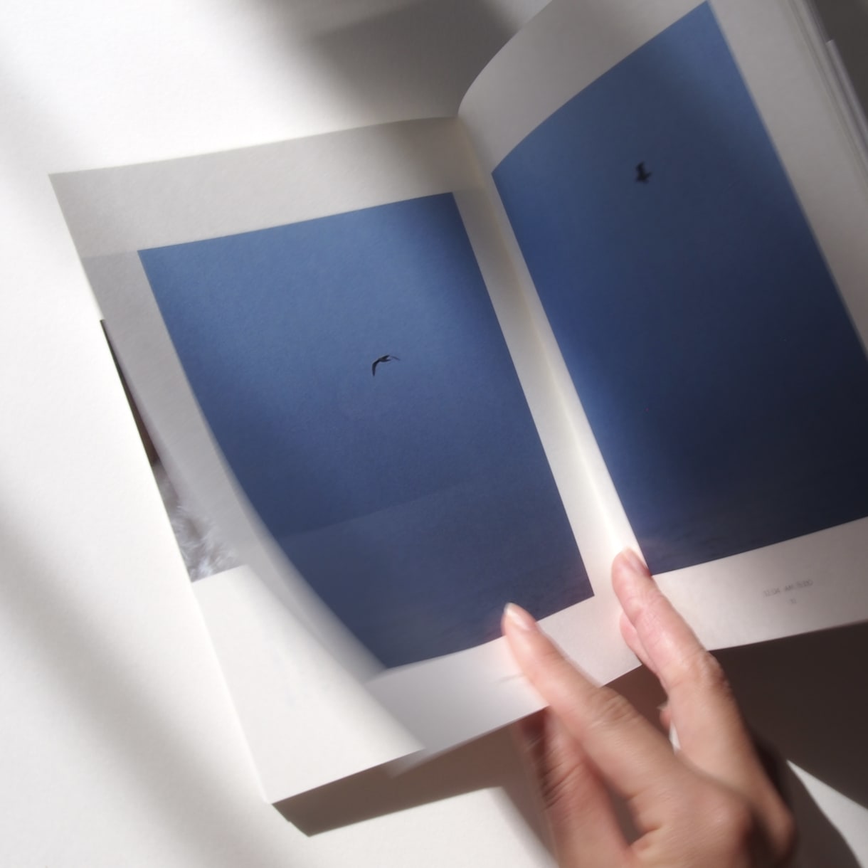 zine・小冊子のデザインをします シンプルかつオシャレなzineを作るお手伝いをいたします。 イメージ4