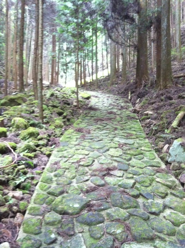 奈良の良さが伝わる奈良旅行プランをアドバイスします 鹿や大仏を見に行こうとしているあなたへ イメージ8