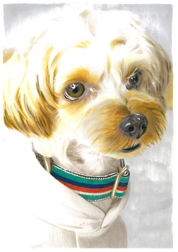 愛犬の似顔絵描きます 愛犬の写真から肖像画のようなクオリティ イメージ5