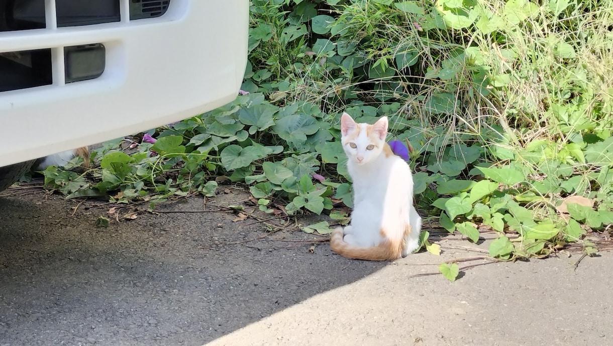 悩み、恋愛、雑談など、関西住みパパがお聞きします お試しでも大丈夫です！なんでもお気軽にお願いします！ イメージ7