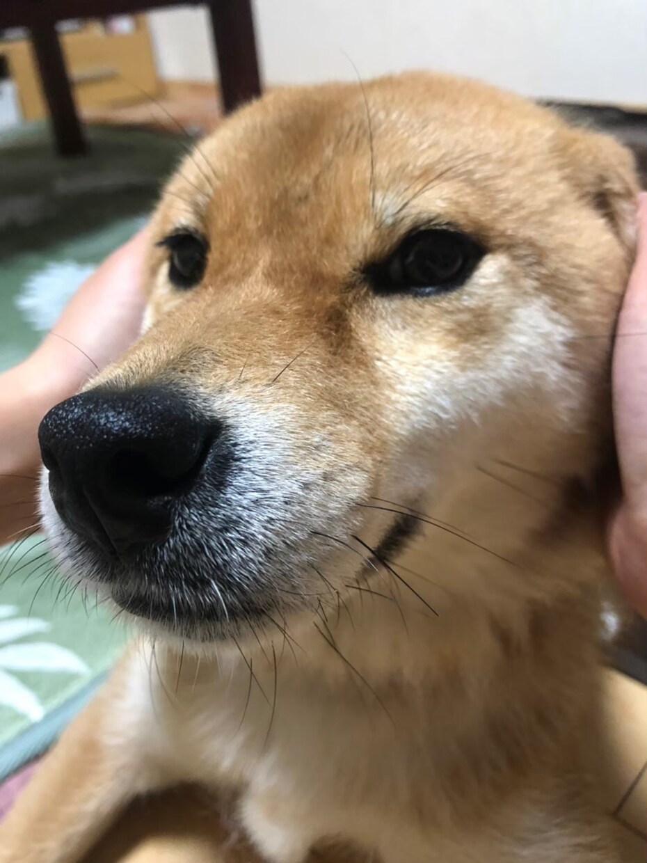 何気ない日々のお話お聞きします ひなたぼっこで何気ないお話しをしましょう⭐︎ イメージ3