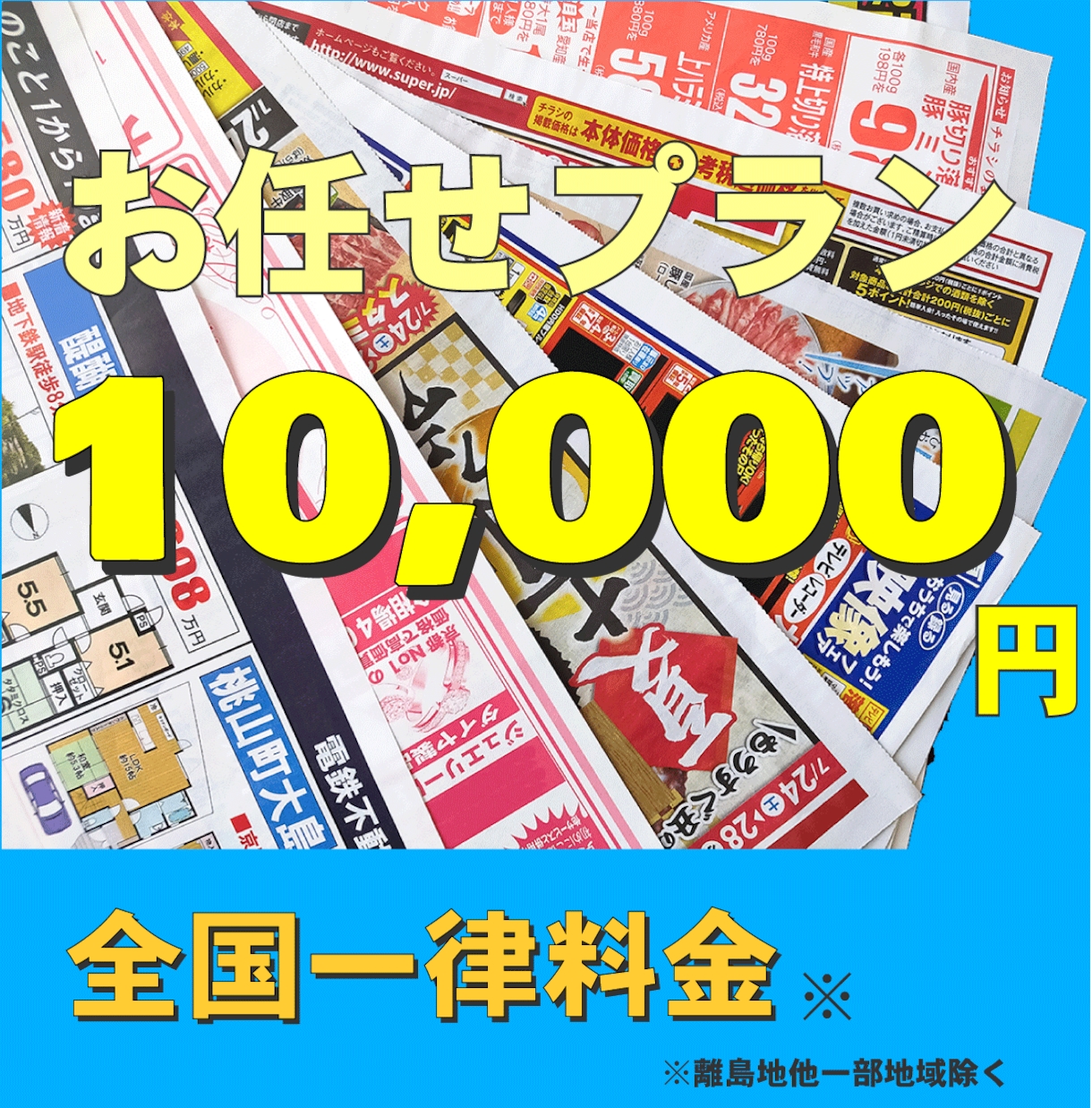 予算1万円で販促チラシをお任せ配布します エリア選定から配布までプロに丸投げOK！ イメージ1