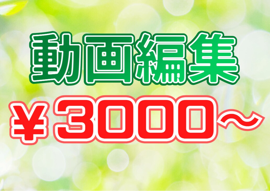 YouTube動画編集代行致します 低価格で高品質な動画をお届けします！ イメージ1