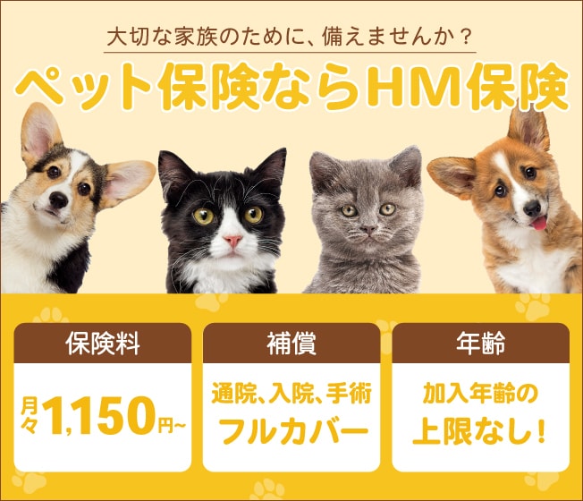 低価格＆高画質！ WEB画像作成します 現役デザイナーが目を惹くWeb画像をお作りします イメージ2