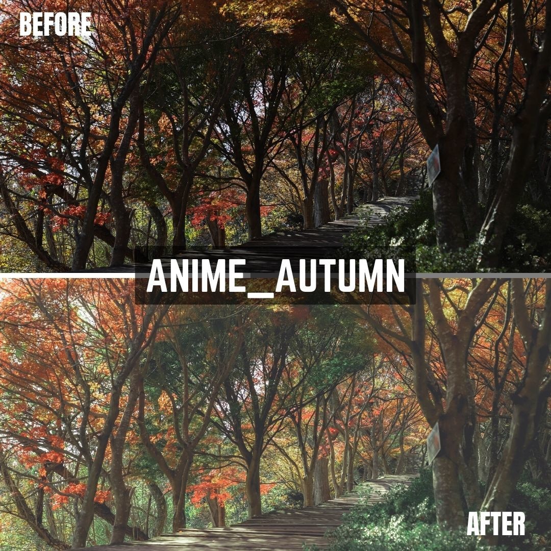 ANIME Lightroomプリセット販売します スマホで撮影した写真、ワンタッチで大変身！ イメージ6