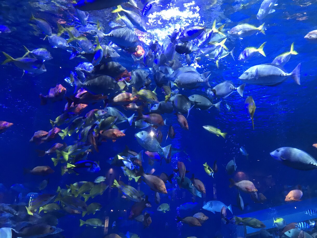 とにかく話を聞いて前向きになります 人と違うことは何も悪くない話聞きますよ！ イメージ1