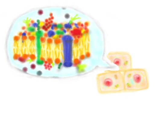あたたかな手描き風理系イラスト作成します 資料にイラストをつけたい、研究を分かりやすく表現したい人へ イメージ1