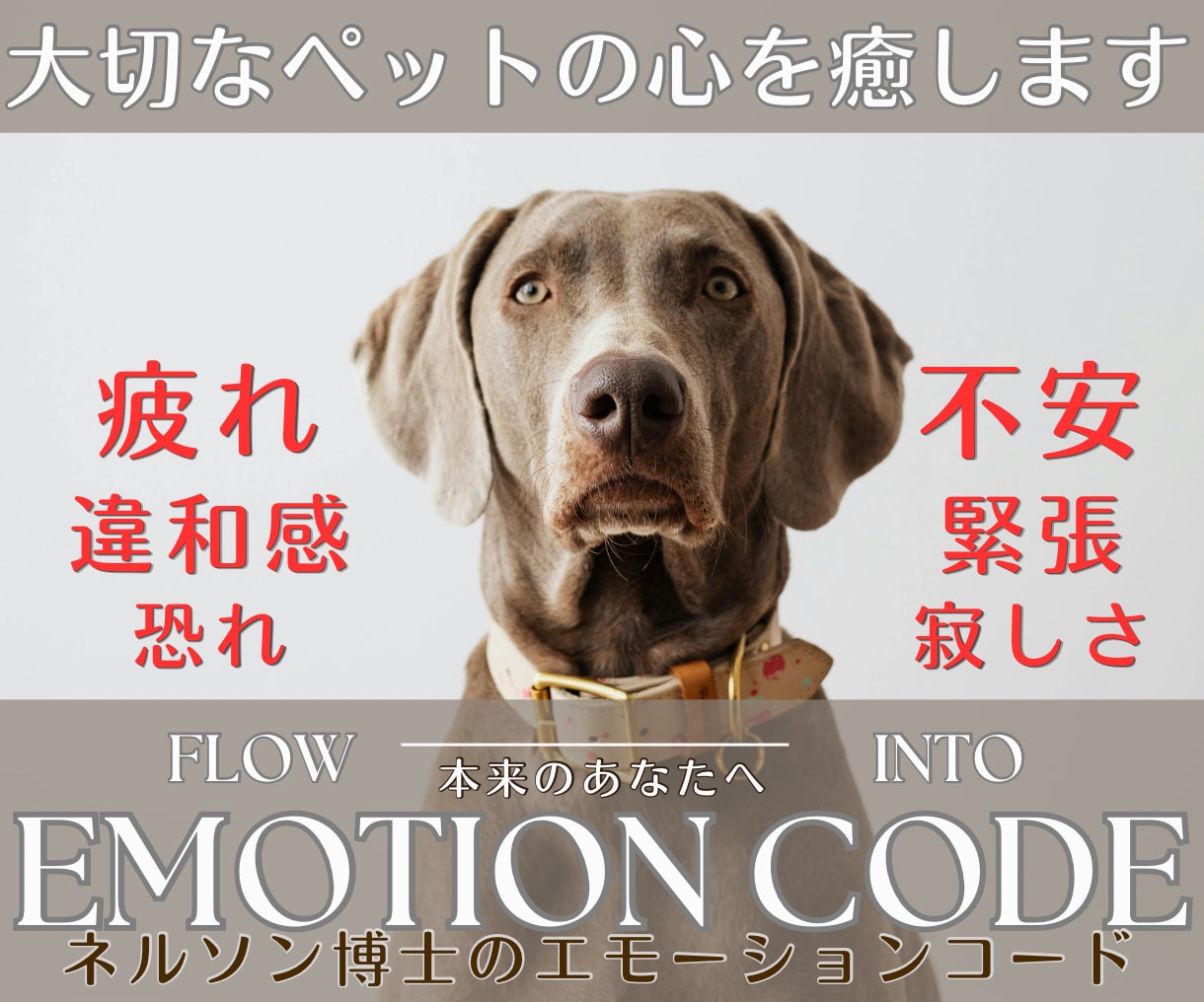 大好きな家族あなたの♥ペットの心♥をそっと癒します ネルソン博士 エモーションコードでペットの囚われた感情を解放 イメージ1