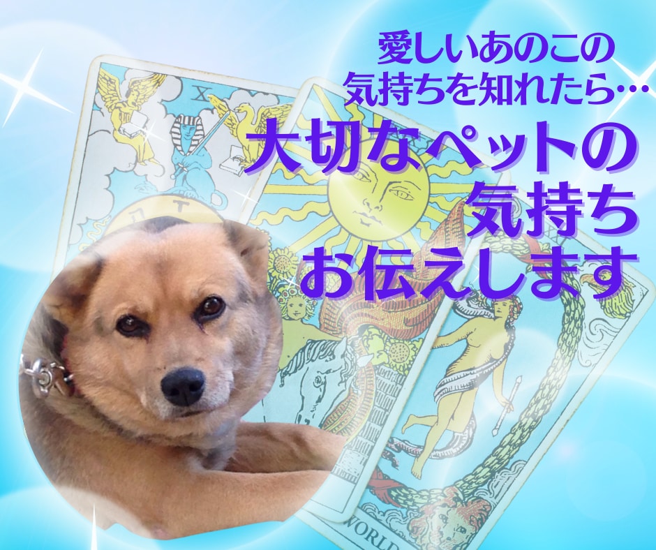 あなたのペットのお気持ちタロットカードに聞きます ワンちゃん、猫ちゃんや動物たちからのあなたへのメッセージ イメージ1