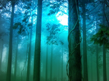 高次の存在から悩めるあなたへメッセージを届けます マスター達の力強いサポートを受けてみませんか？ イメージ1