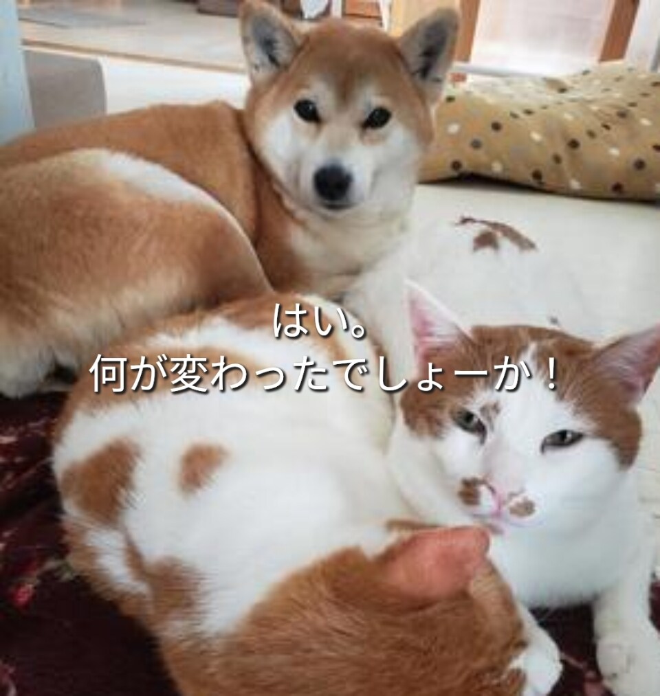 ちょっとだけ聞いて欲しい。話したい。聞きます 元気が無い時は無言でも大丈夫。同じ時間を過ごしましょう。 イメージ5