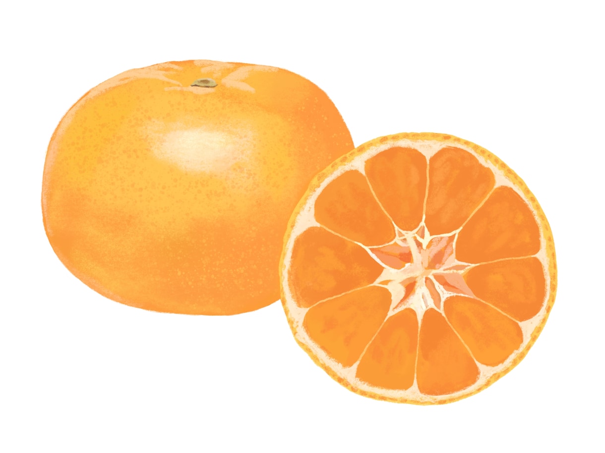 新鮮な野菜果物イラスト｜温かいタッチで制作します レシピ本・メニュー・パッケージ用食品イラストを制作します イメージ6