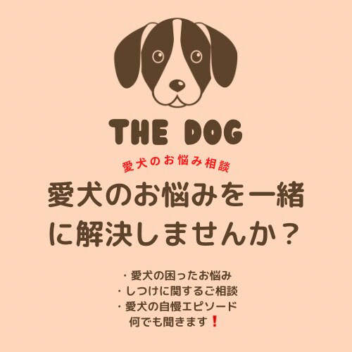 お宅のワンちゃんのお悩み相談聞きます 小〜大型犬まで対応！1ヶ月時間内無制限！ イメージ1