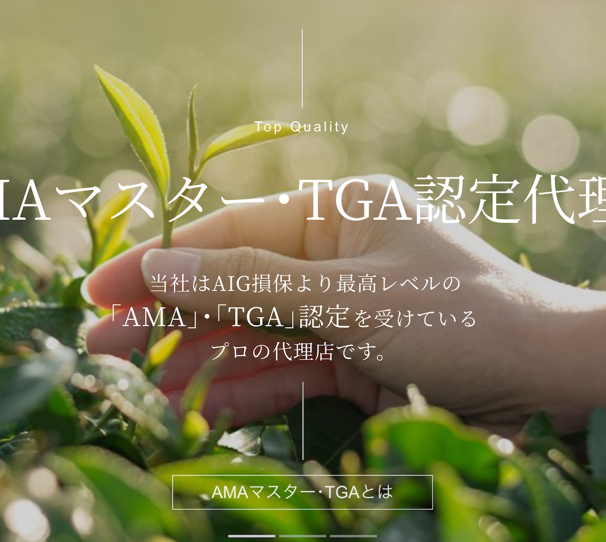 上級ウェブ解析士が集客できるホームページ制作します 新規出品で格安！テンプレ制作ではなくオーダーデザインです イメージ8