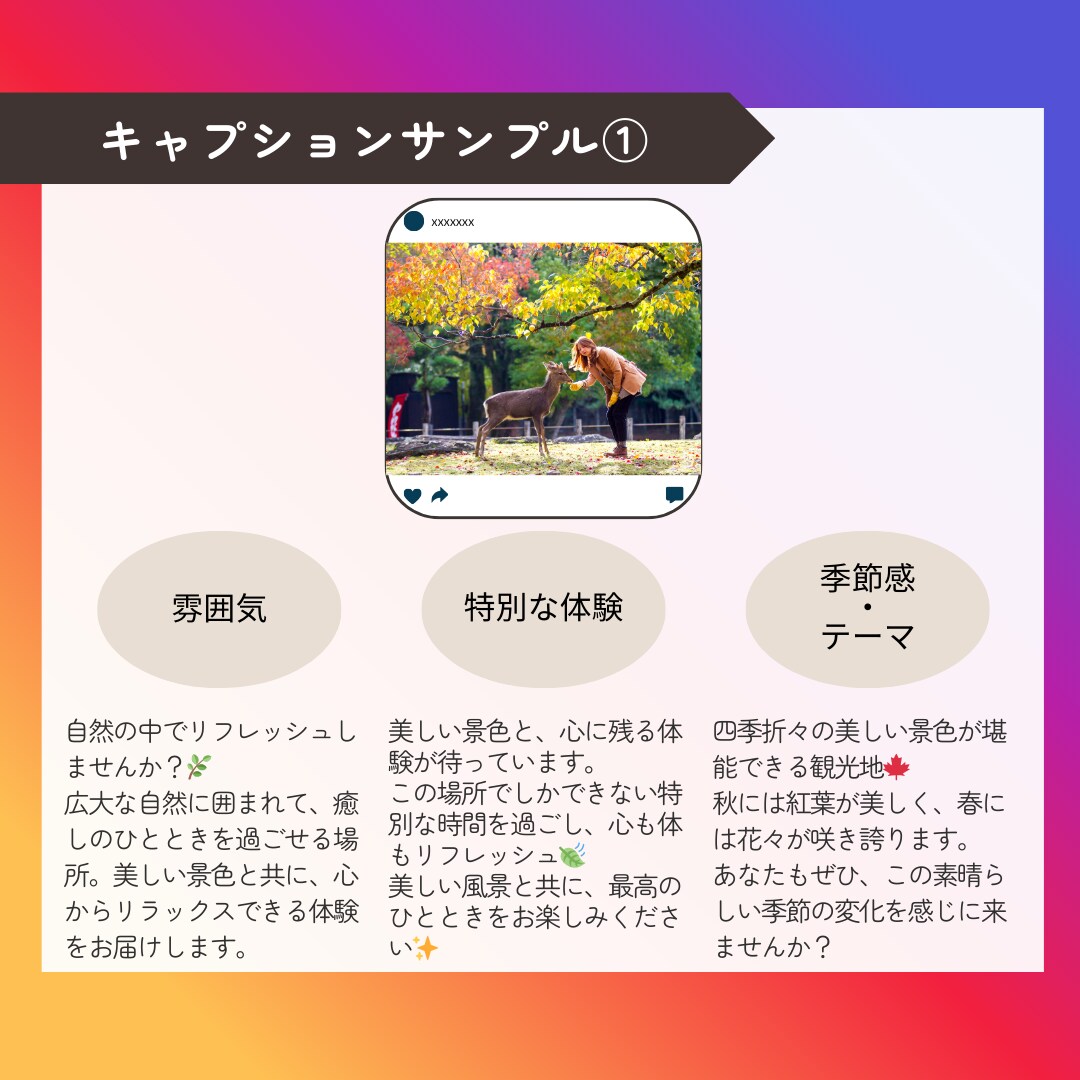 修正無制限★Instagram投稿文3案提案します 旅行・観光・ホテル特化！世界観に合ったテキストをご提案 イメージ3