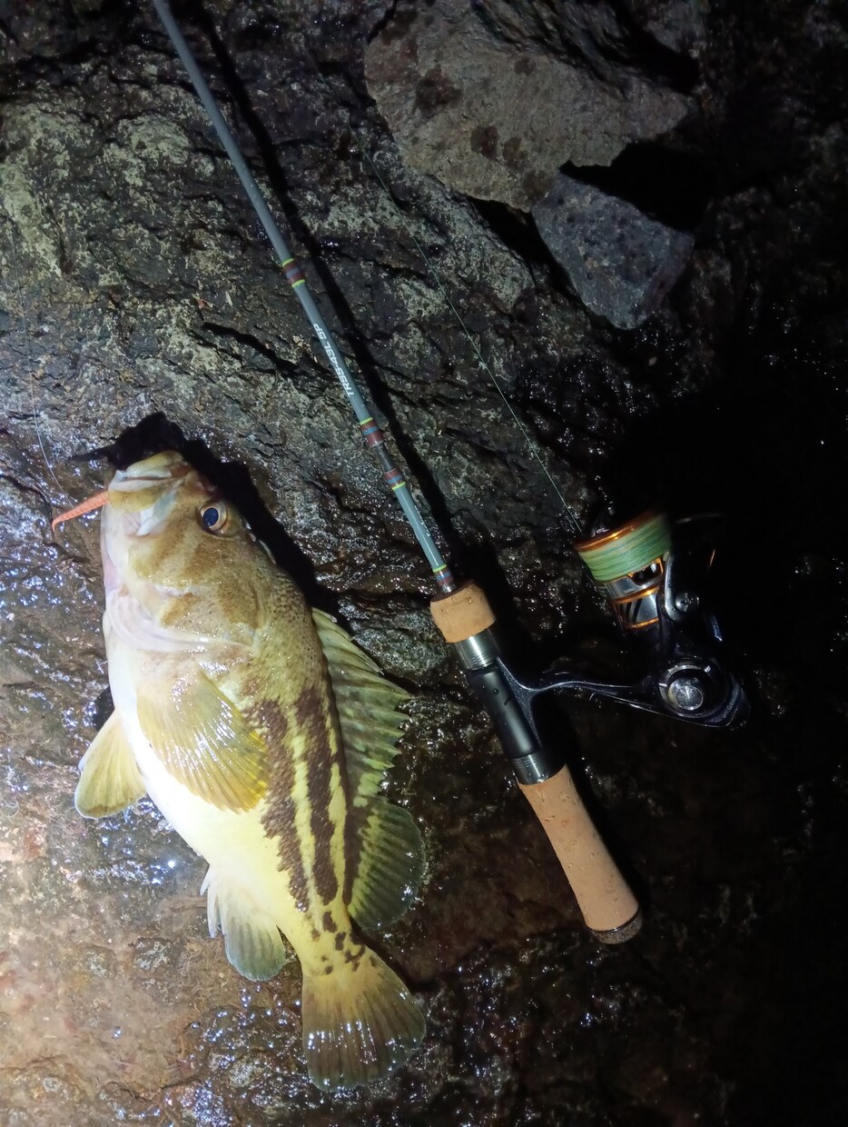 早い♪即日対応♪札幌近郊での釣り及び穴場教えます 貴方と魚達の架け橋！魚達との出会いをサポートさせてください! イメージ3
