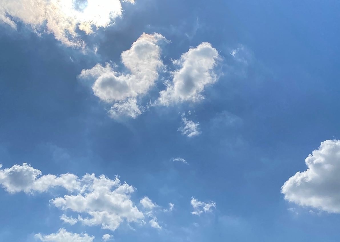 夢があるのに家族の理解が得られない…お悩み伺います あなたの夢を大切に考え、実現するお手伝いをさせていただきます イメージ2