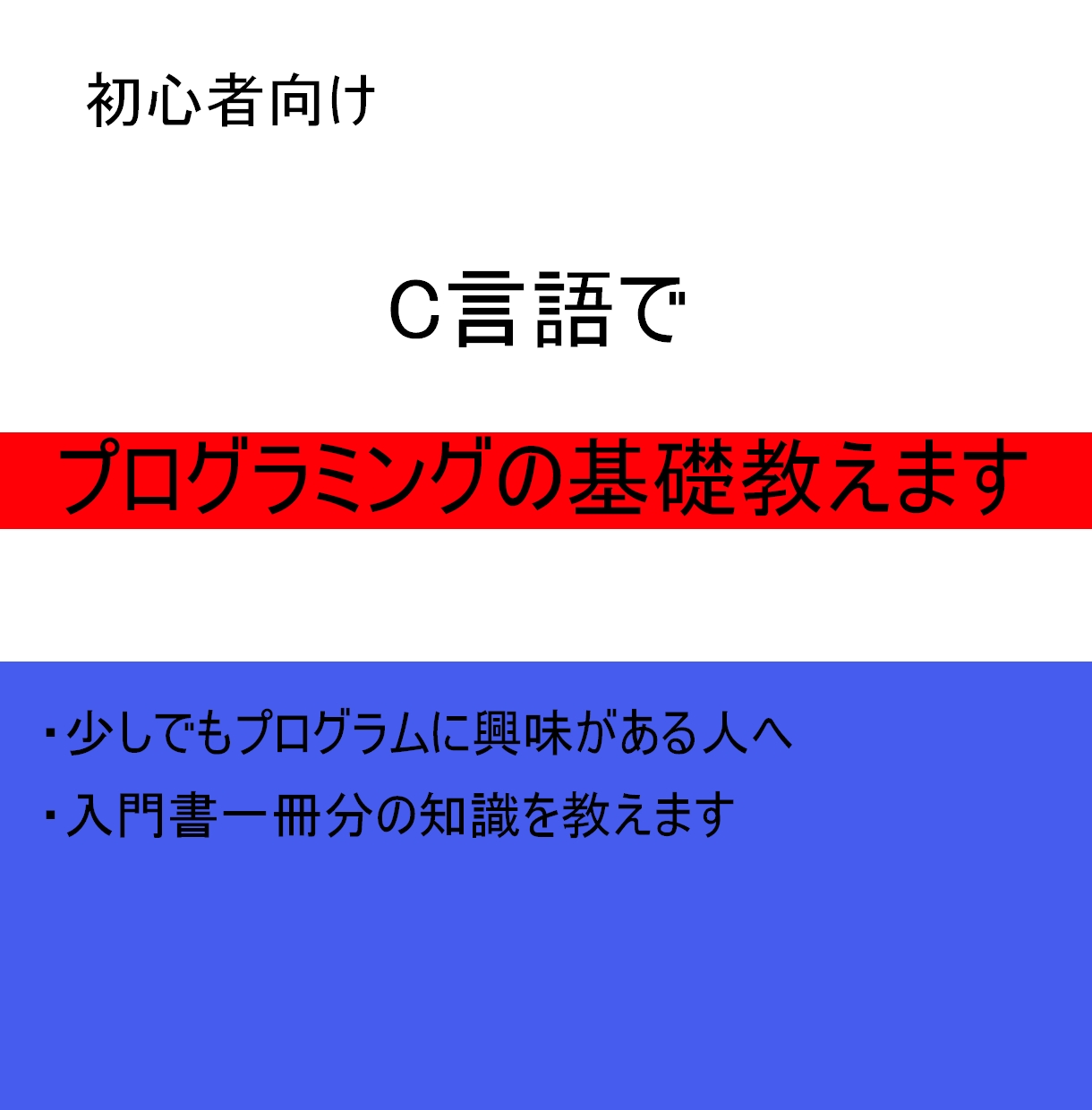 プログラミングの基礎を教えます 入門書を一冊理解できるようにサポート イメージ1