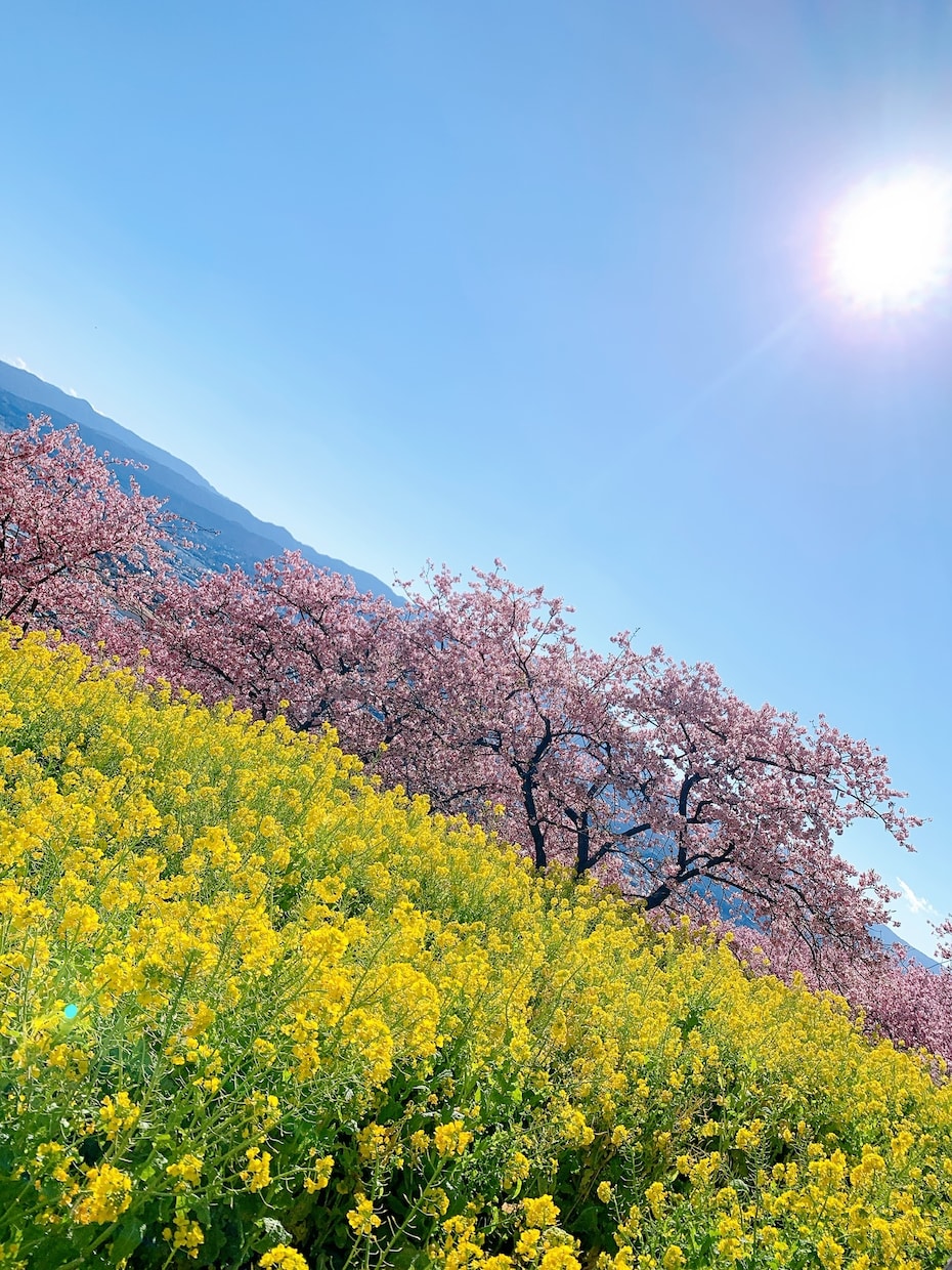 算命学で命式を出して占います 知らないと損する今年の運勢！！ イメージ1
