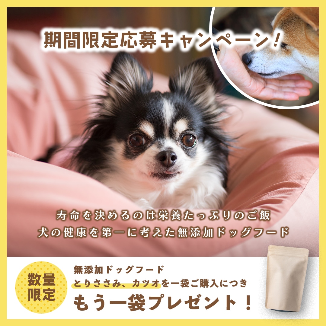 目に留まるサムネイル画像を作ります あなたの "形にしたい" に寄り添って丁寧に制作します イメージ5
