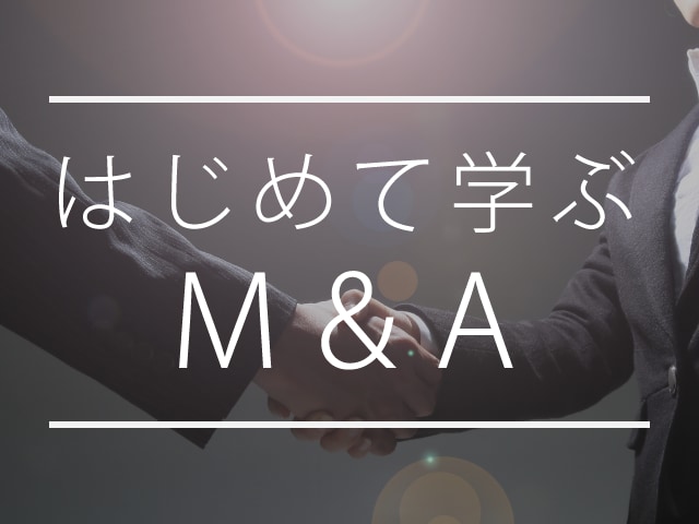 M&A、PMIの進め方について教えます M＆Aの全プロセスを売却、買収ともに10回以上経験しています イメージ1