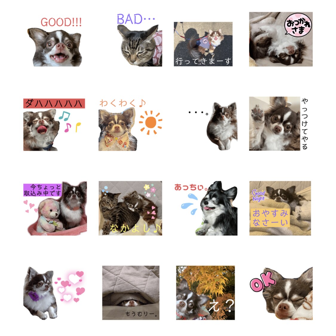 お写真からかわいいLINEスタンプ作成します お子様・お孫様・ペットのお写真を活かしてスタンプ作成します イメージ2