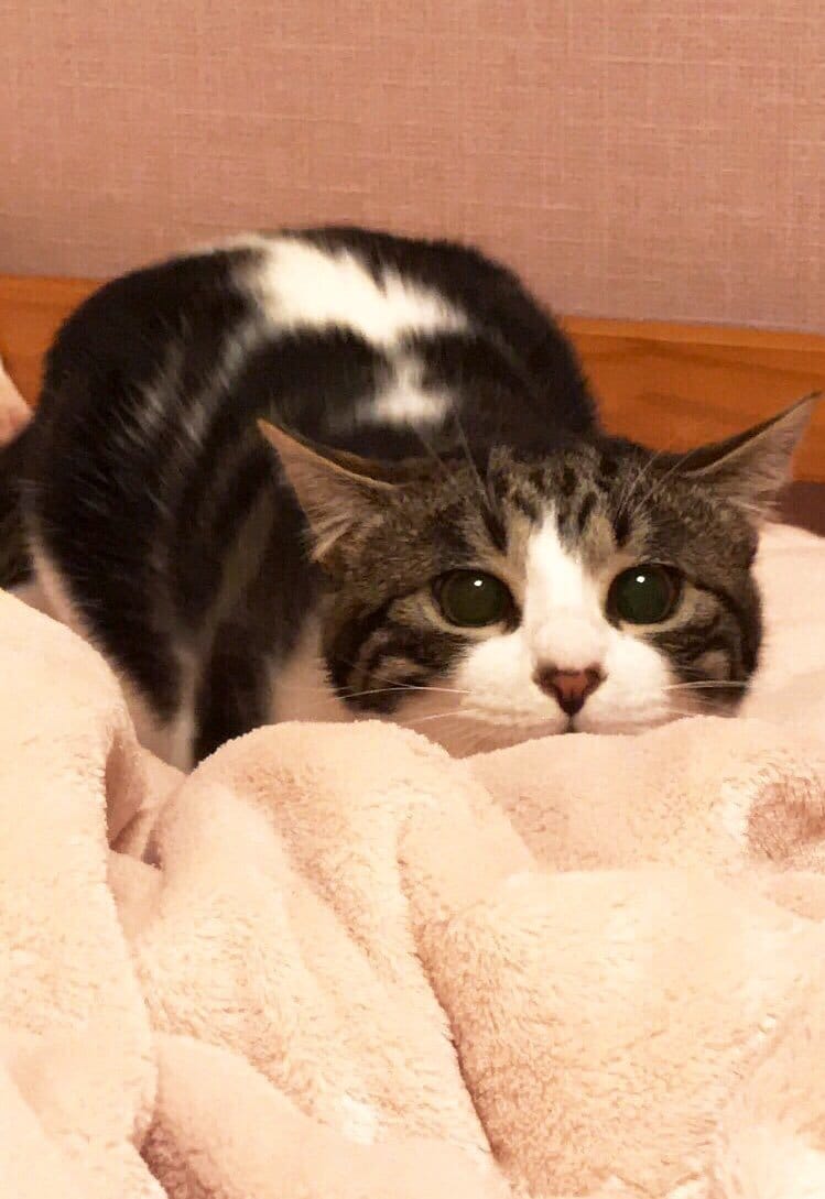 あなたのコンプレックスを無くすお手伝いをします コンプレックスが原因で踏み出せない事ありませんか？ イメージ1