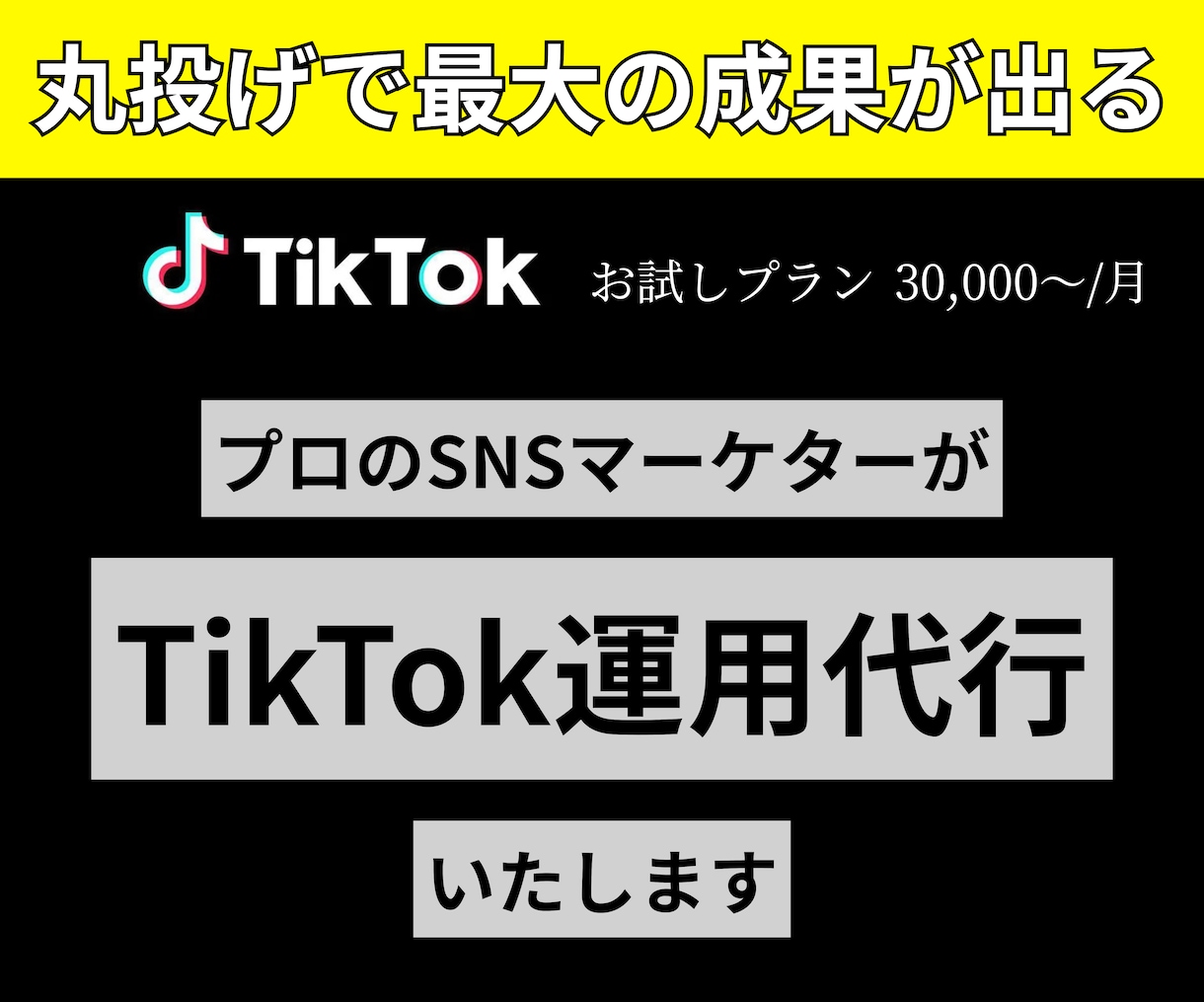 丸投げで最大の成果が出るTikTok運用いたします 100万再生を複数叩き出したインフルエンサーが担当 イメージ1