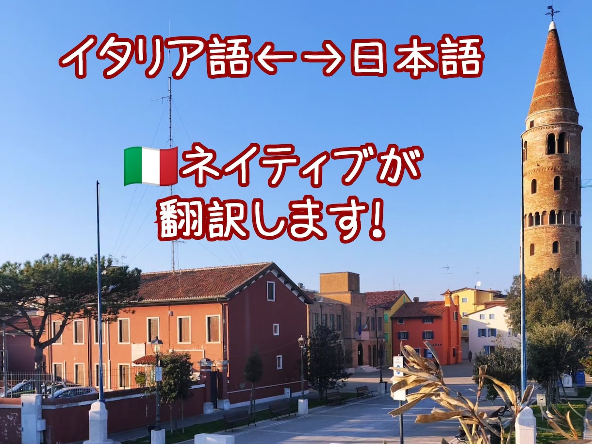 ネイティブが訳します 【経歴8年】細かい意味合いを活かし、丁寧な翻訳に拘ります。 イメージ1