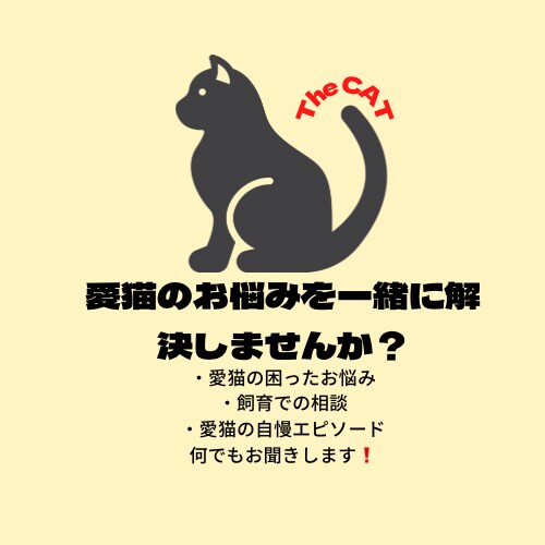 愛猫のお悩み・相談お聞きします 困った事など、飼育に関する事など色々お聞きします！ イメージ1