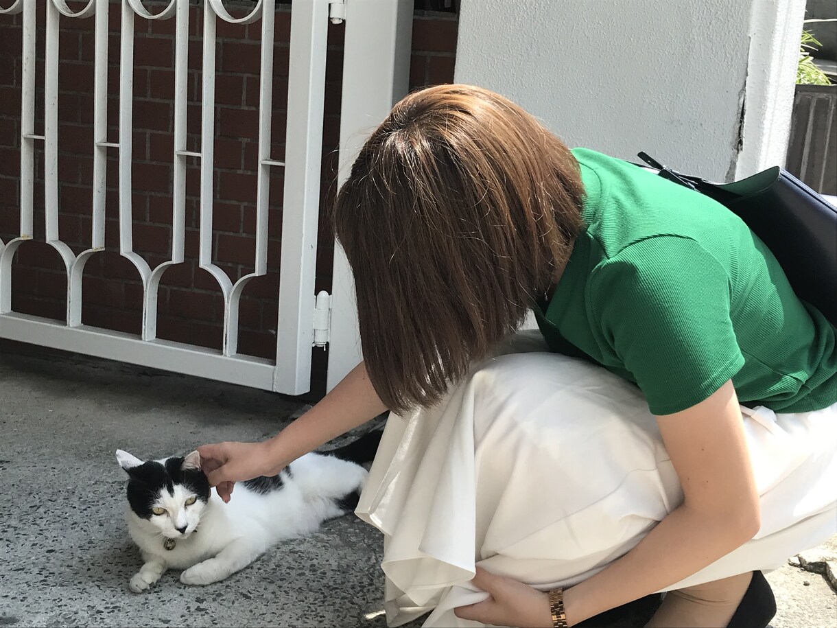 3日間ゆっくりLine感覚でチャットします 3日間ゆっくりお話しましょう✩.*˚100前後やりとり..♪ イメージ1