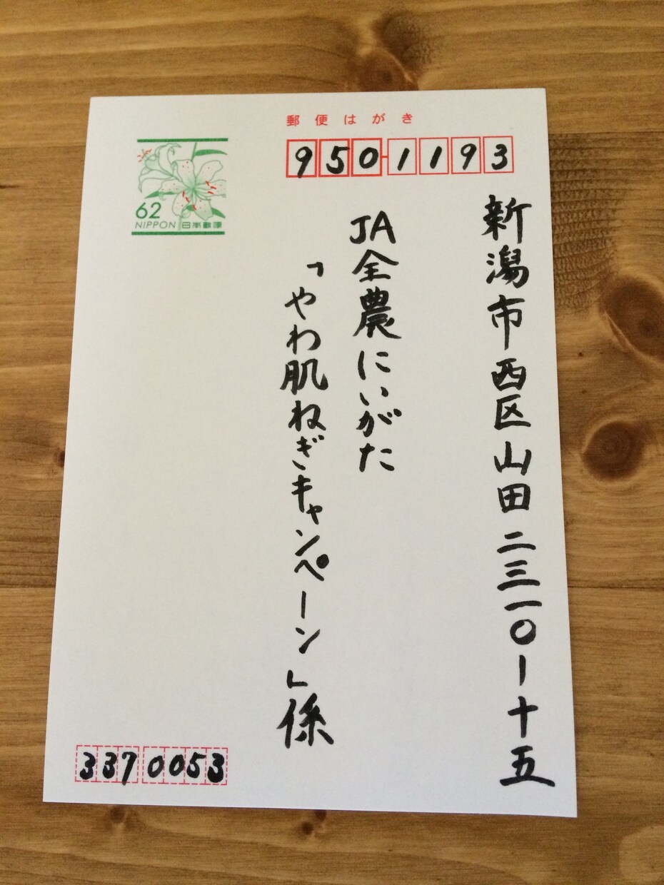 お葉書、履歴書等の代筆を致します 自分の字に自信がない、お葉書の宛名書き等面倒だと感じる方へ イメージ1