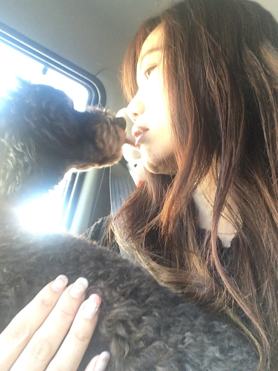 うさぎさんの飼い方アドバイスします うさぎ専門シッターがあなたの大切なうさぎさんのお悩み解決！ イメージ5