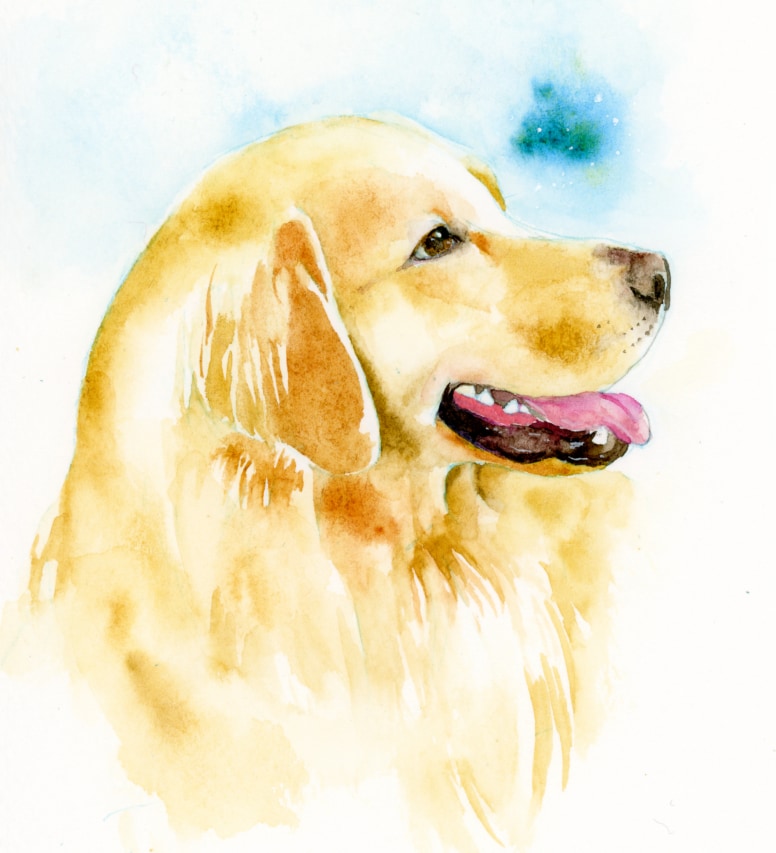 透明水彩でペットや動物の似顔絵を描きます 手描きならではの温もりを手元に。プレゼントにも イメージ2
