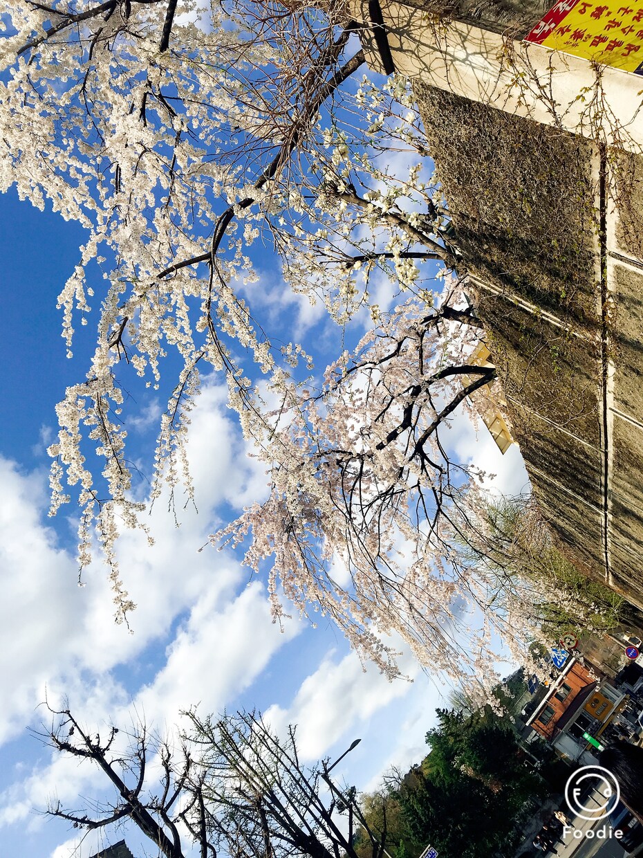 愚痴や相談などお話相手になります 今日の出来事を誰かに言いたい方へ イメージ1