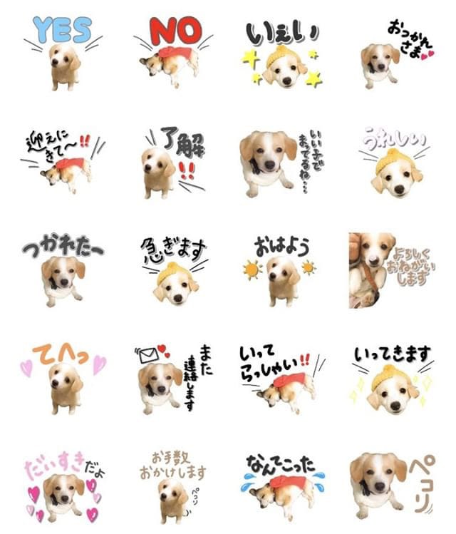 オリジナルLINEスタンプ作ります お値下げ中！お子様やペットの写真を使ってスタンプを作ります♪ イメージ3