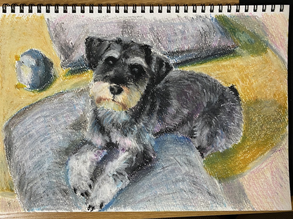 ペット似顔絵　鉛筆やクレヨンで描きます そばにいる、あたたかさをお届けします イメージ1