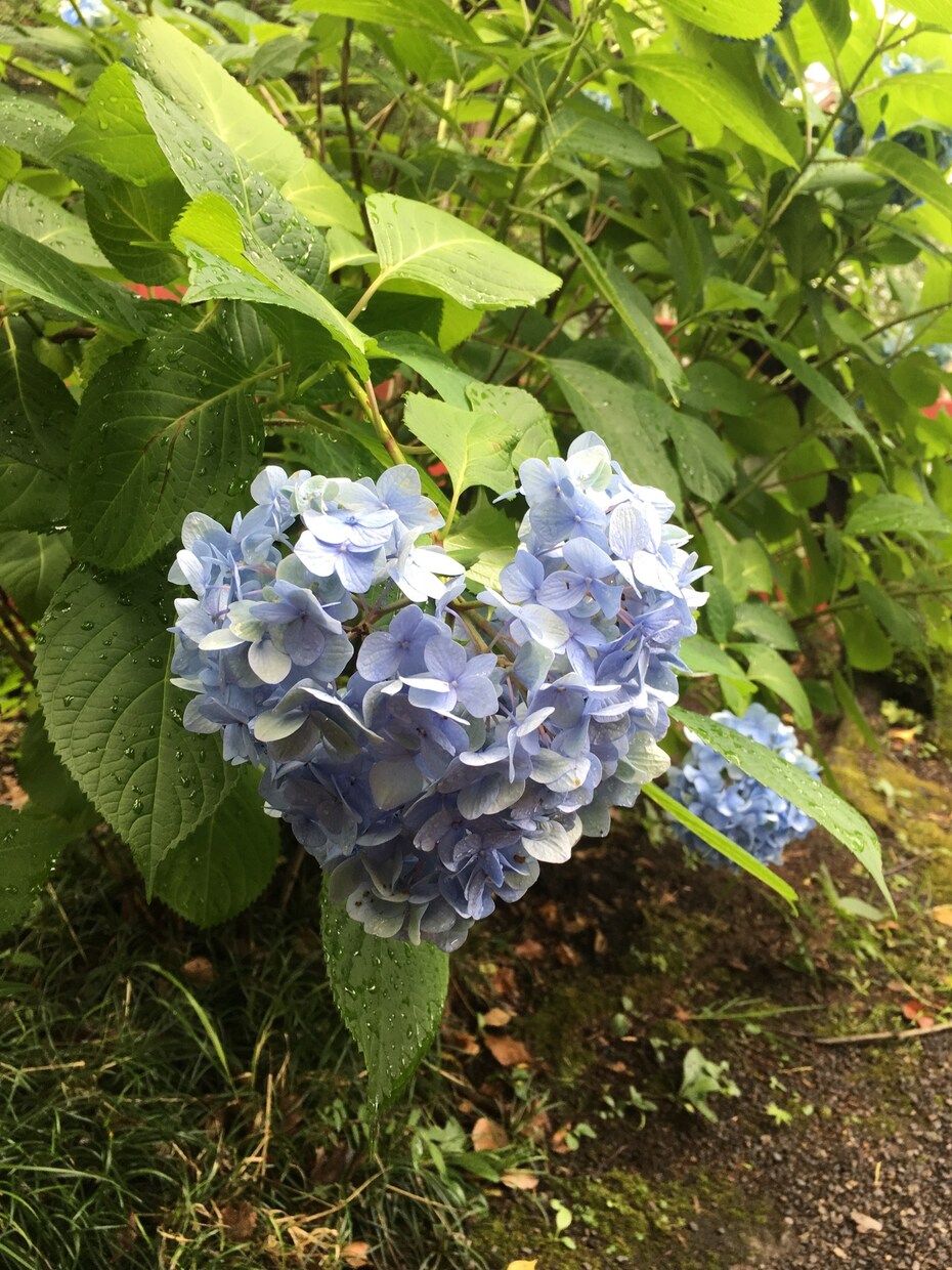 元No2ホストが恋愛、日常、お話し相手いたします 寝る前のひととき、穏やかな時間を演出します！お話ししましょ！ イメージ5