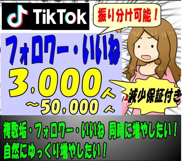 TikTokフォロワーいいね3000人～拡散します 複数垢・フォロワー・いいね振り分け可！自然に増やします。