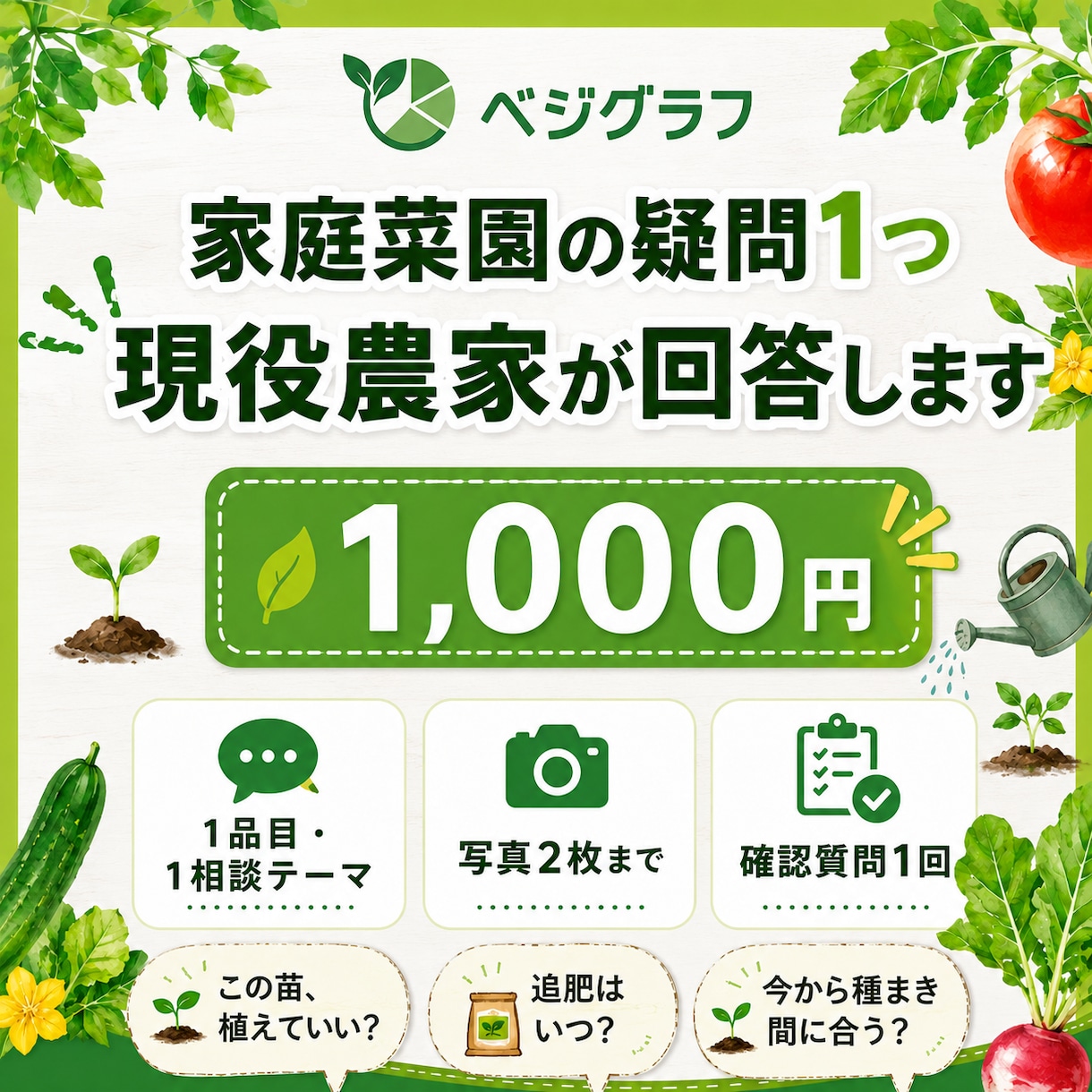 この野菜、今から間に合うか現役農家が判定します 野菜1品目の状況を整理し、次に行う作業を提案します イメージ1