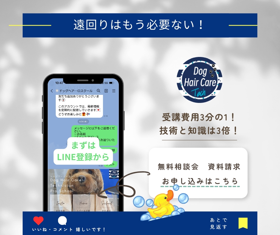ペットのプロが制作！ペット専門広告作成します ペット業界26年犬、猫、小動物に特化した広告デザイン イメージ4