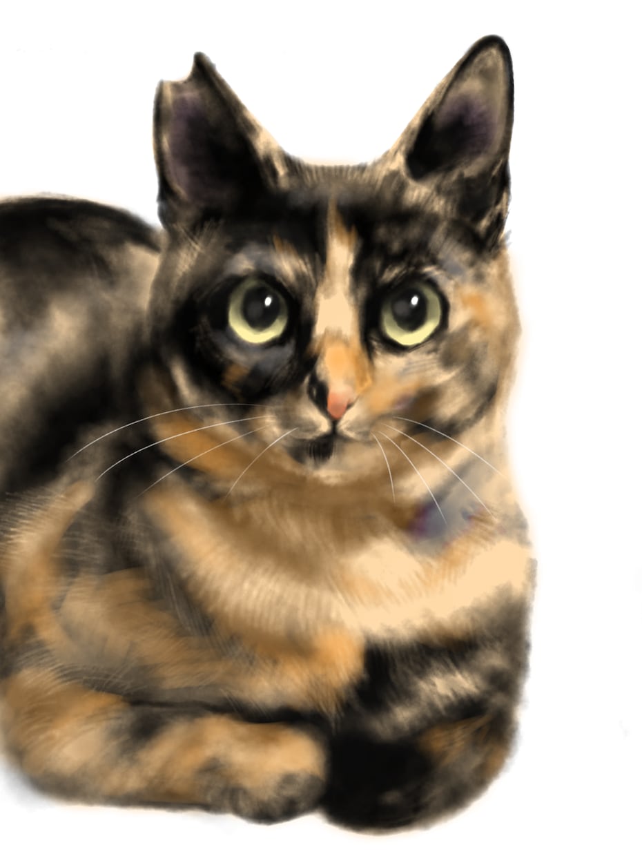 ねこちゃん描きます ペットのお写真からリアル寄りのデジタルイラスト イメージ1