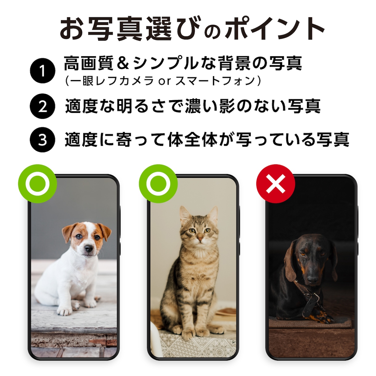 うちの子(ペット)の記念ナンバーアートを作成します 写真×ナンバー×色『世界にひとつ』のフォトアートが完成✰ イメージ7
