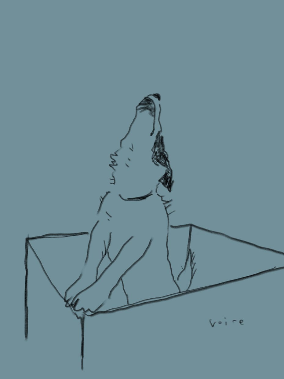 シンプルな動物イラスト描きます お部屋に飾ったり、ロゴにしたりできます。 イメージ10