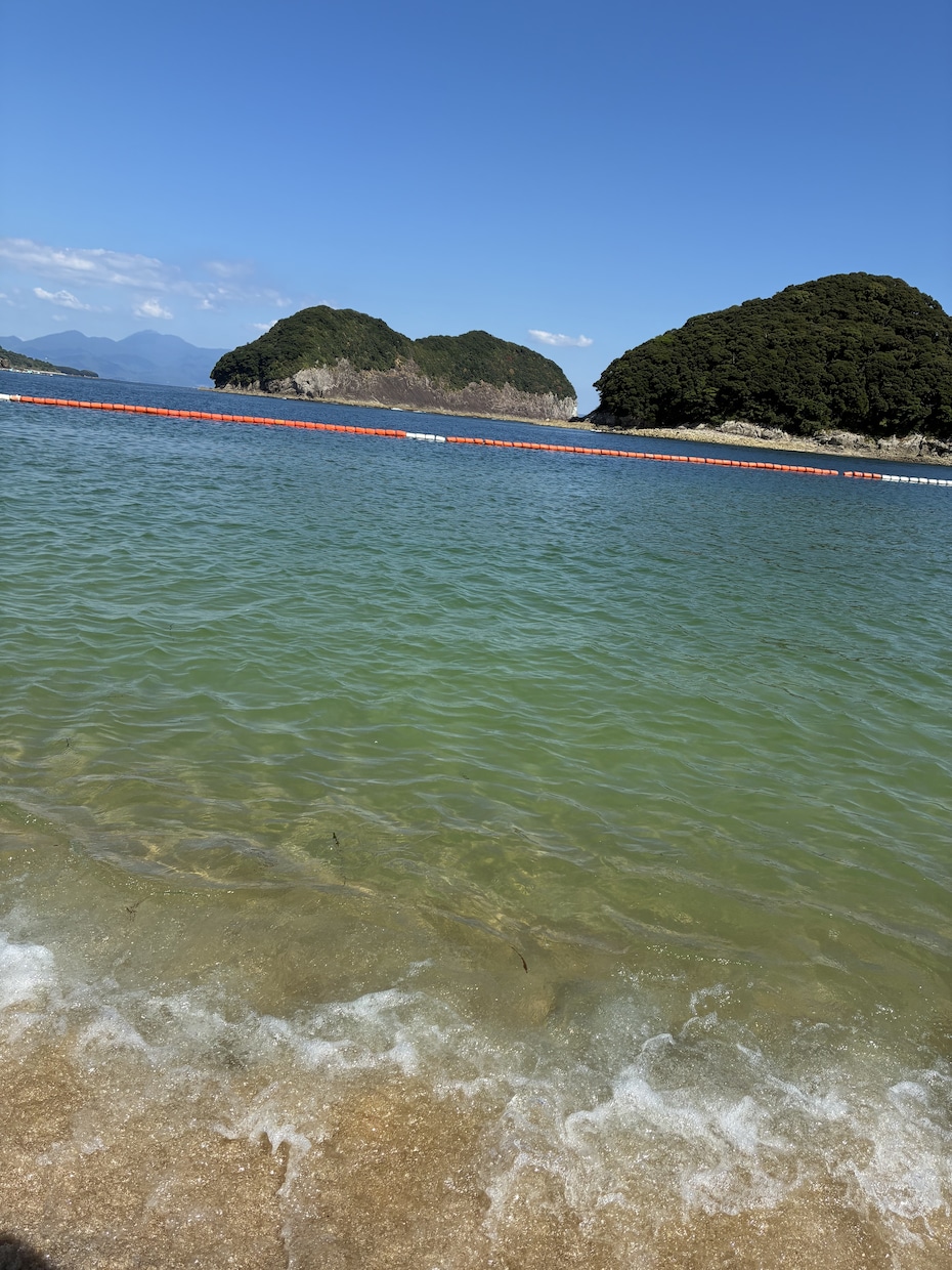 子供がいる方、現在妊娠中の方の相談のります 子供関連について気軽に話せたらいいなと思います。 イメージ1
